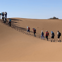 Sahara Trek