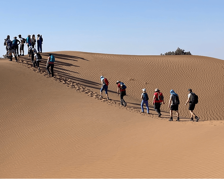 Sahara Trek