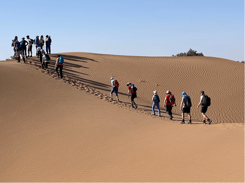 Sahara Trek