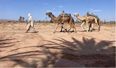 Sahara Trek